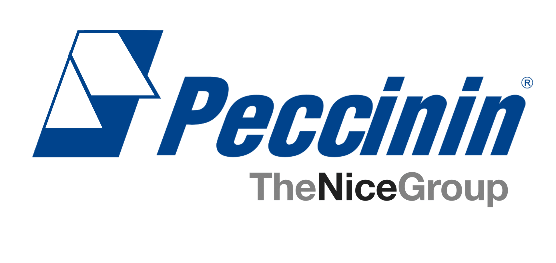 peccinin-logo-nice-group-cftv-clube